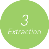 3 Extraction