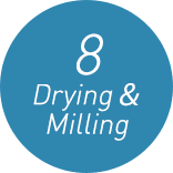 7 Alginic Acid Precipitate