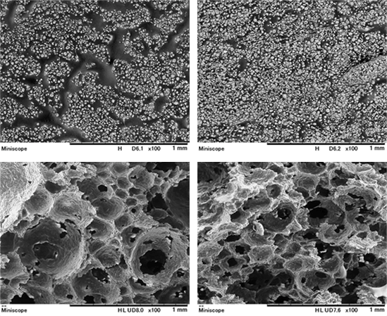 アルギンによる吸油抑制のメカニズム