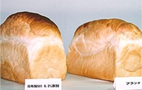 アルギン比較：焼成後の容積アップ