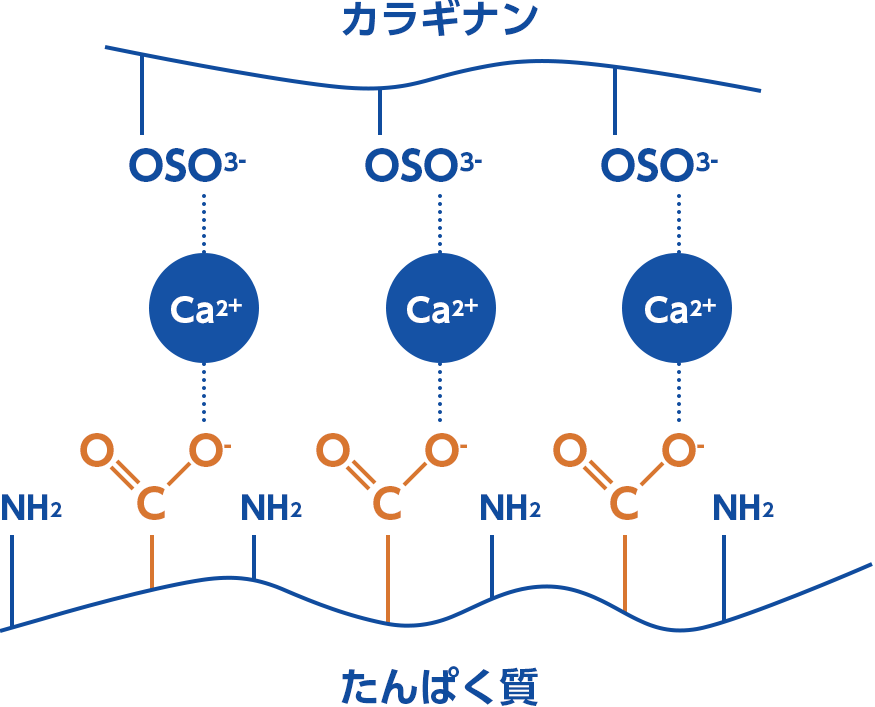 pHがたんぱく質の等電点より大きいとき