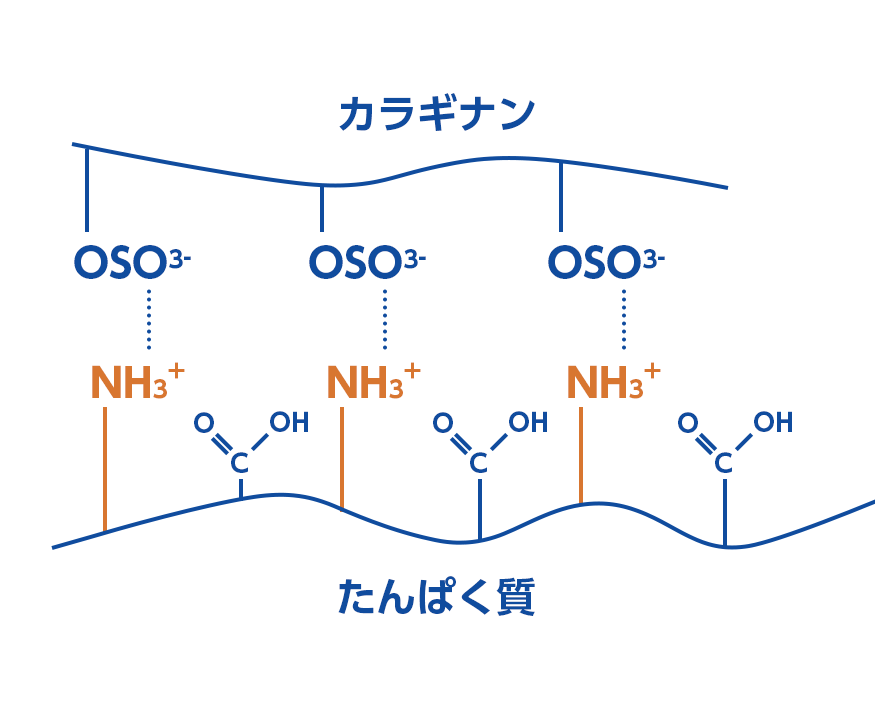 pHがたんぱく質の等電点より小さいとき