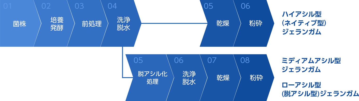 図5 ジェランガムの製造工程