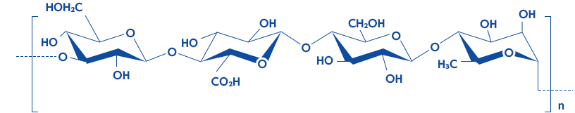 ローアシル型ジェランガム