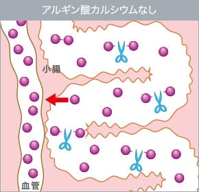 アルギン酸カルシウムなし