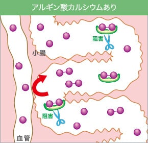 アルギン酸カルシウムあり