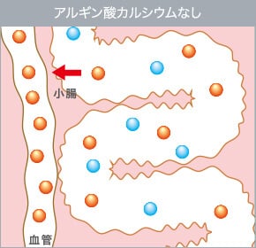 アルギン酸カルシウムなし