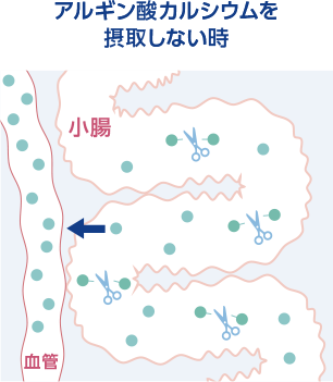アルギン酸カルシウムなし
