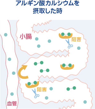 アルギン酸カルシウムあり