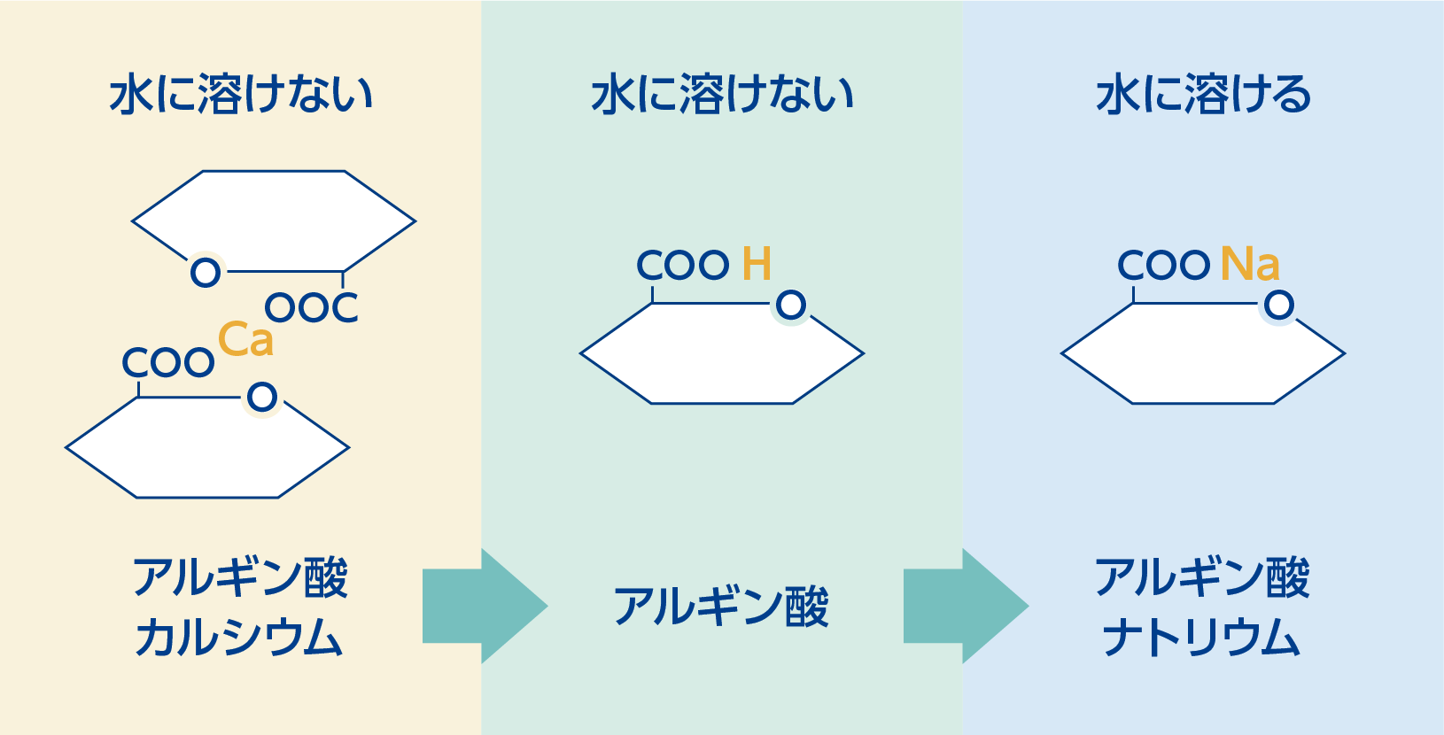 アルギン酸塩の構造式