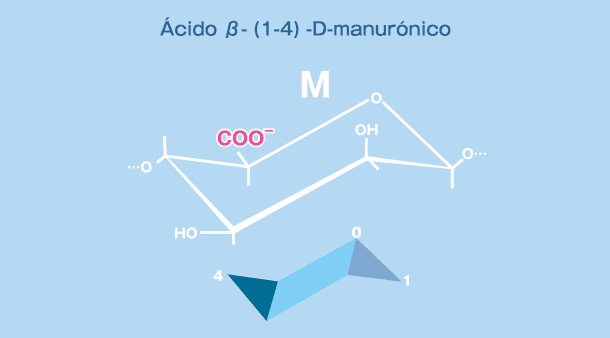 β-(1-4)-D-Mannuronic Acid