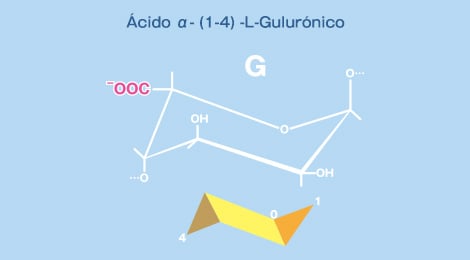 α-(1-4)-L-Guluronic Acid