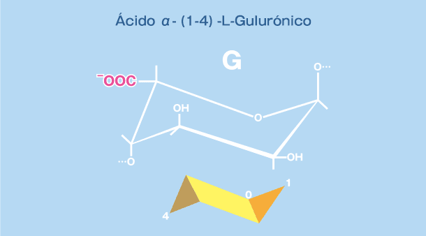 α-(1-4)-L-Guluronic Acid